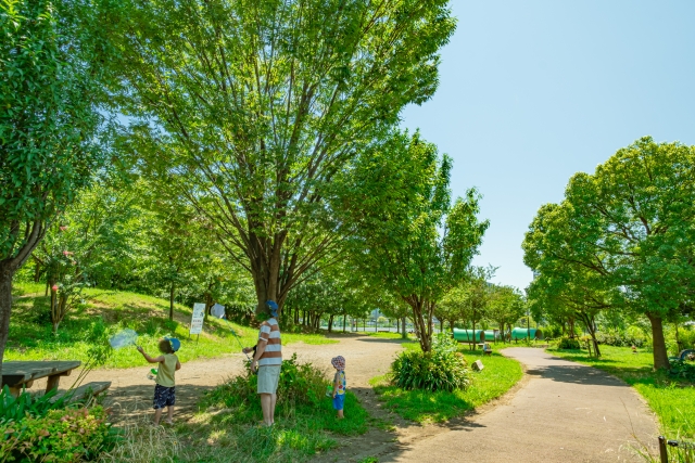 公園で虫取りする子ども